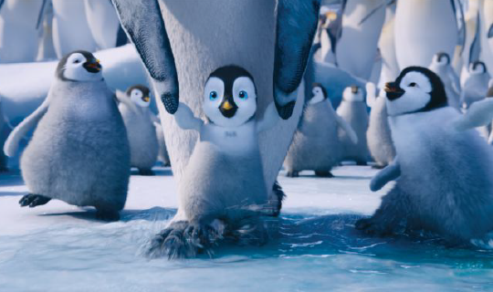 filme happy feet português｜Pesquisa do TikTok