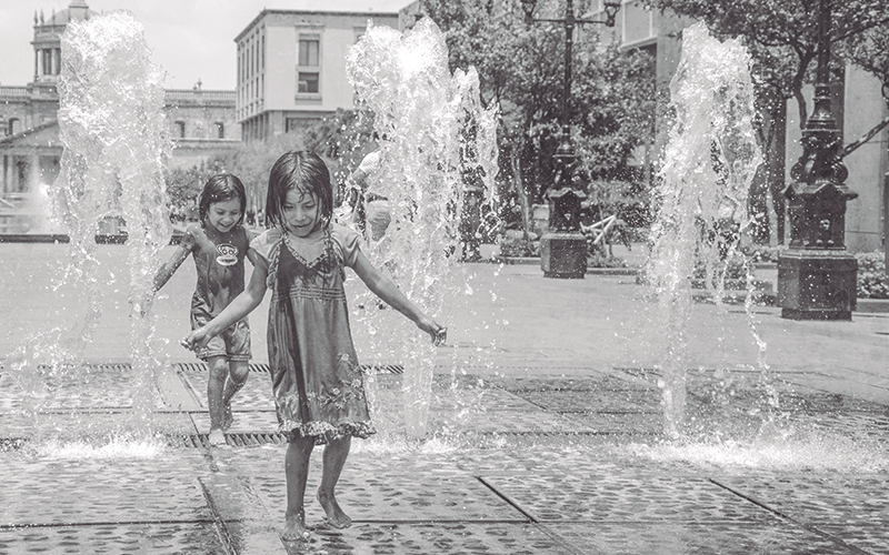 img Em busca de nossas raízes 1